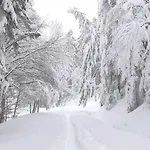 Comme A La Maison - Plein Sud - Pied Des Pistes * Laveissière