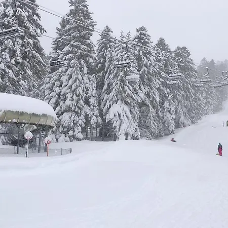 Comme à La Maison - Plein Sud - Pied Des Pistes * Laveissière