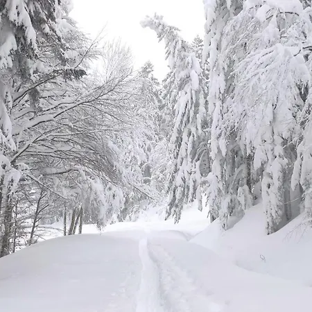Comme à La Maison - Plein Sud - Pied Des Pistes * Laveissière